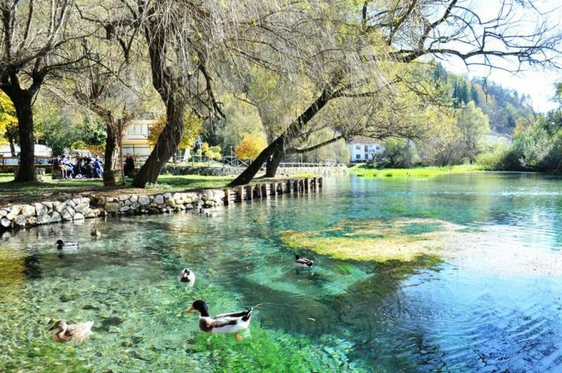 Отель Olimpus Сора Экстерьер фото